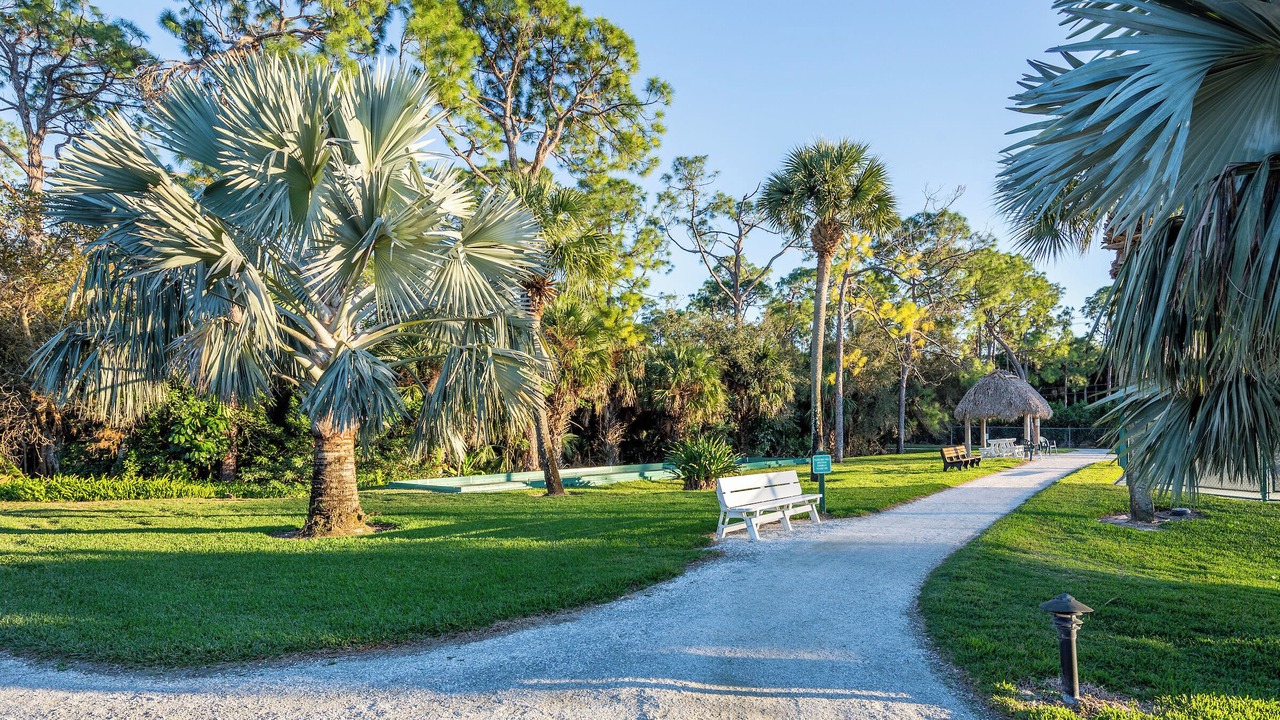 Photo of Outdoor in Central Naples