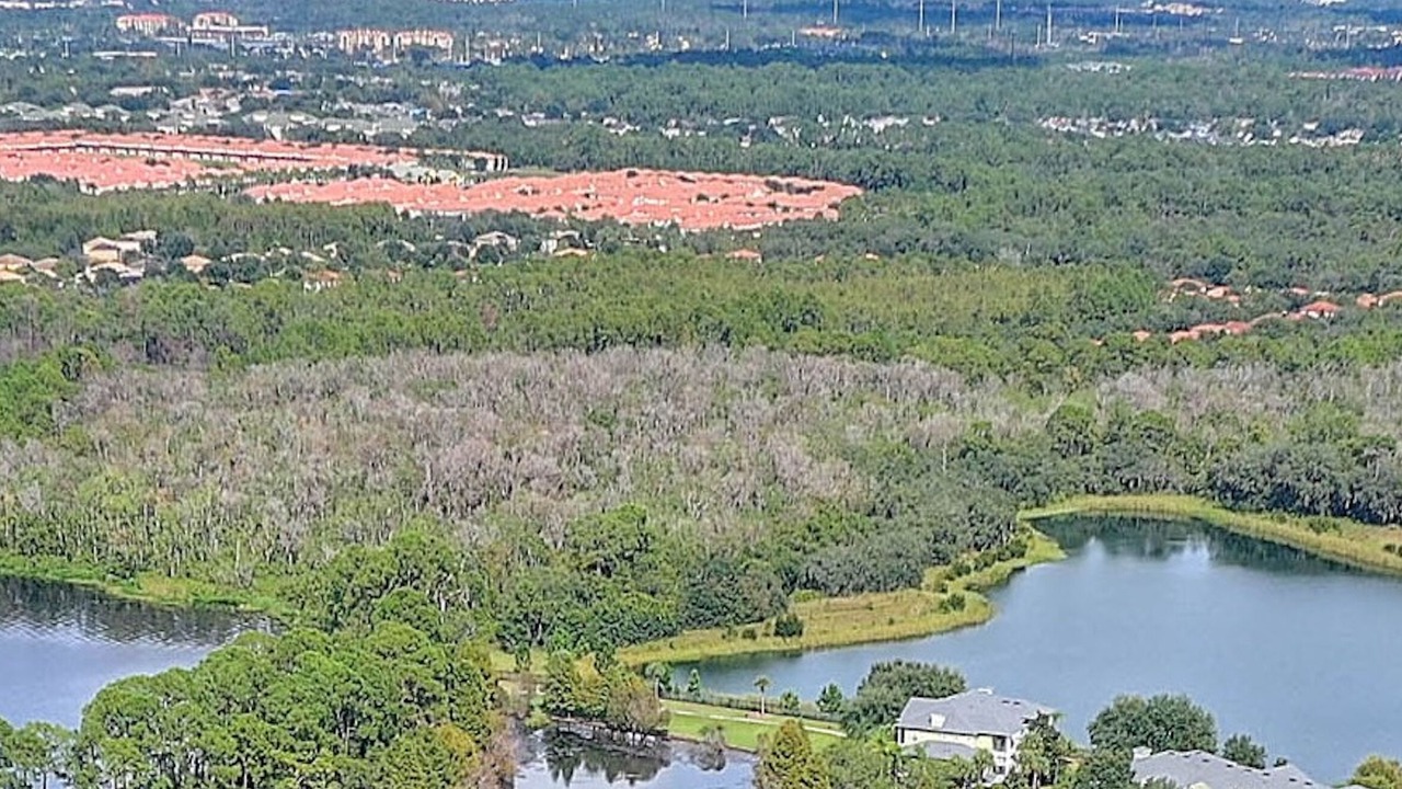 Photo of Outdoor in Bahama Bay