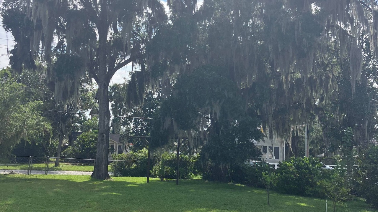Photo of Others in Green Cove Springs