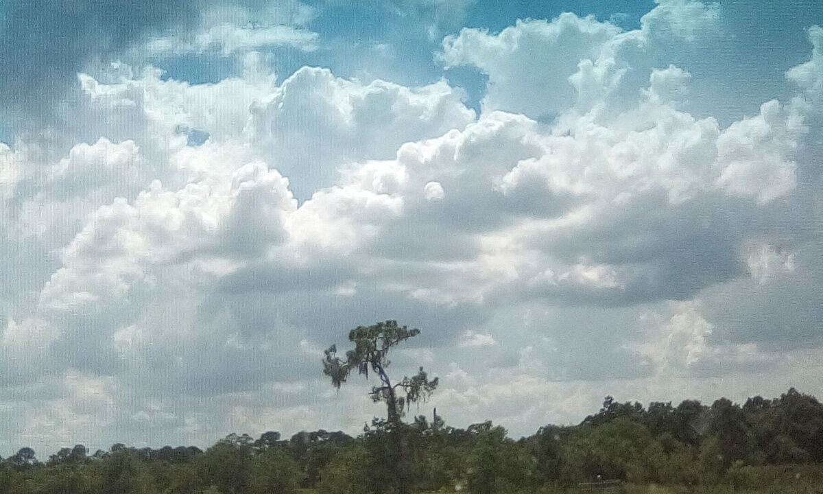 Photo of Others in Florida South Atlantic Coast