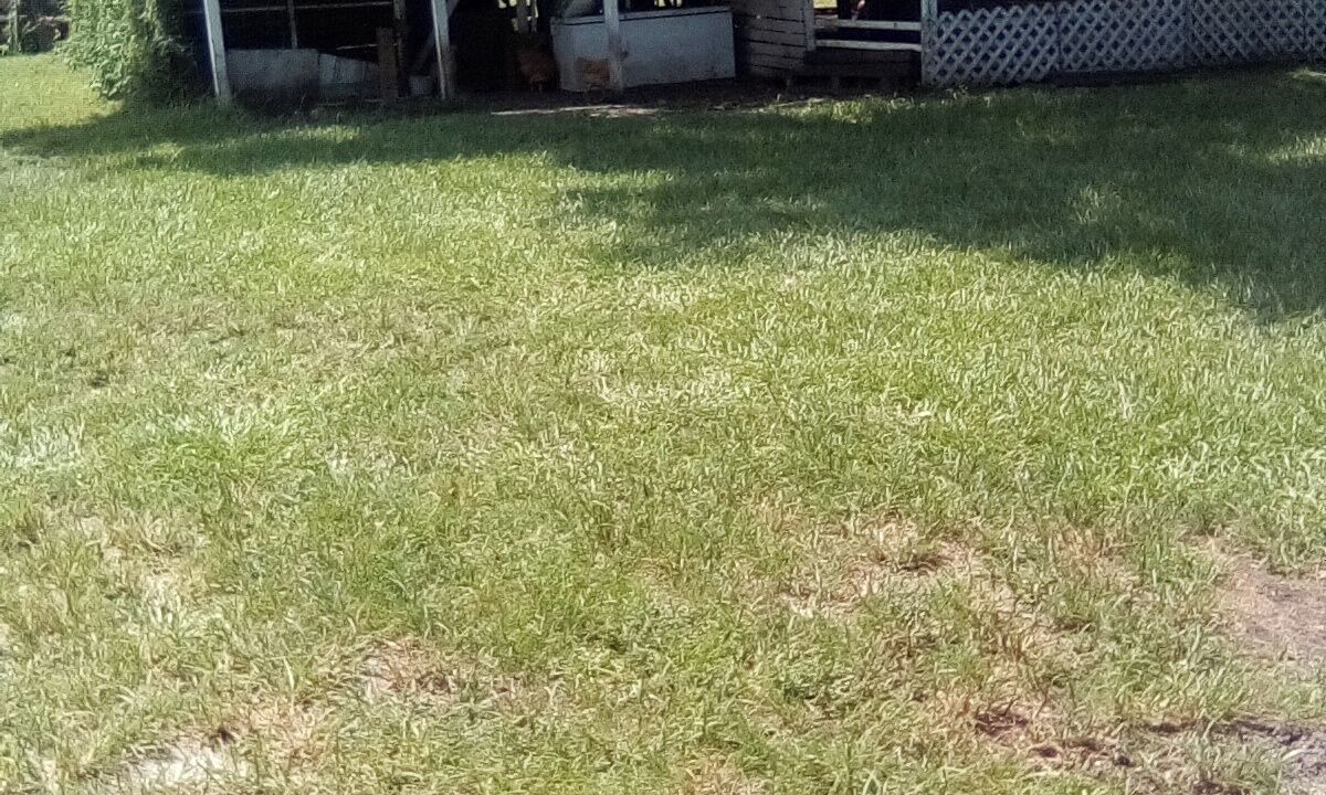 Photo of Outdoor in Florida South Atlantic Coast