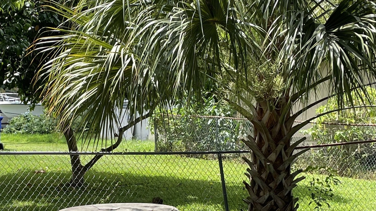 Photo of Outdoor in Vero Beach