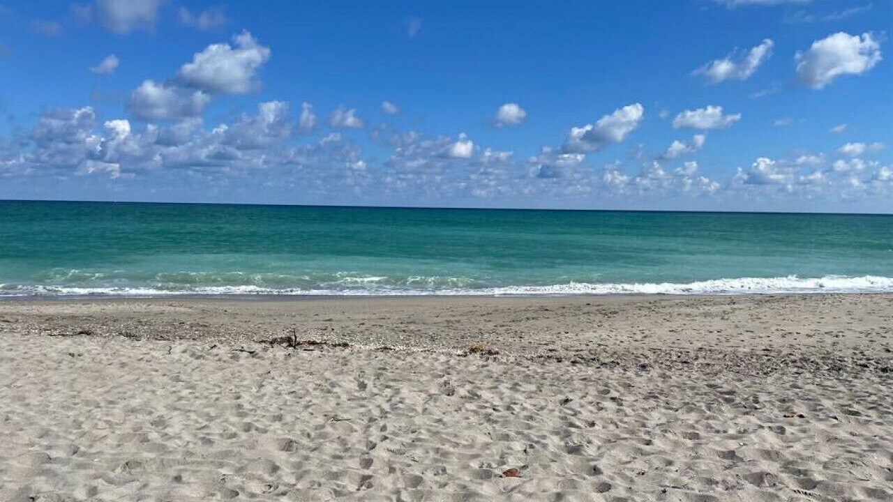 Photo of Others in Jupiter Bay