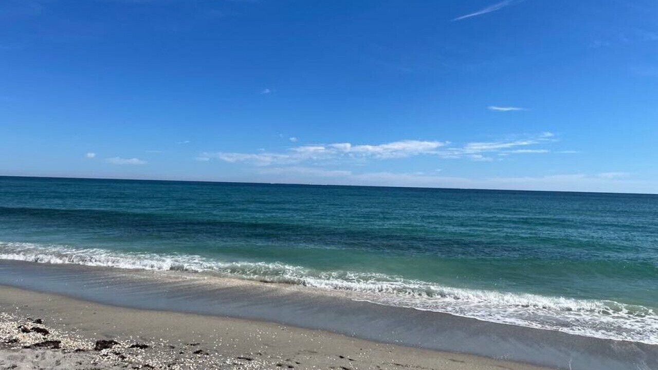Photo of Others in Jupiter Bay