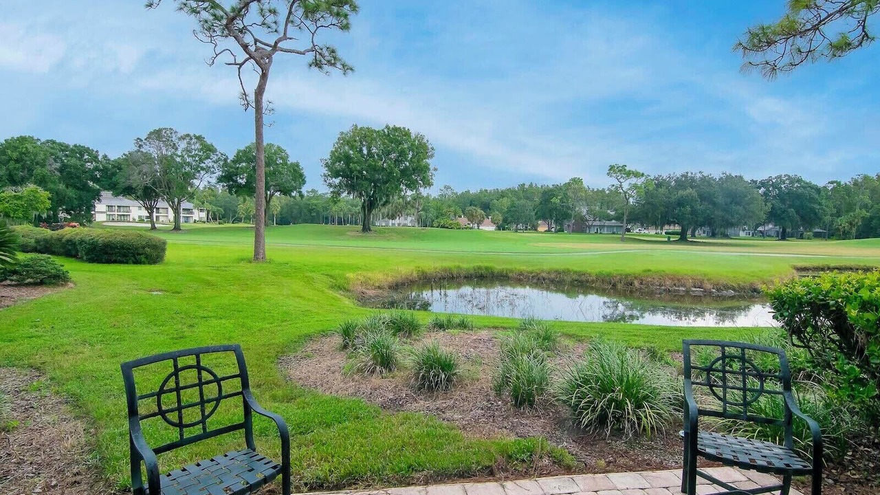 Photo of Outdoor in Wesley Chapel