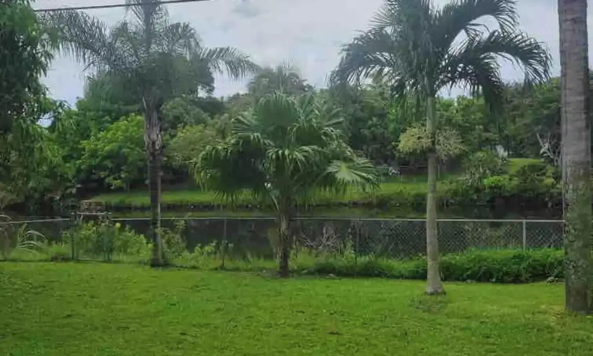 Photo of Outdoor in Palm Beach - West Palm Beach