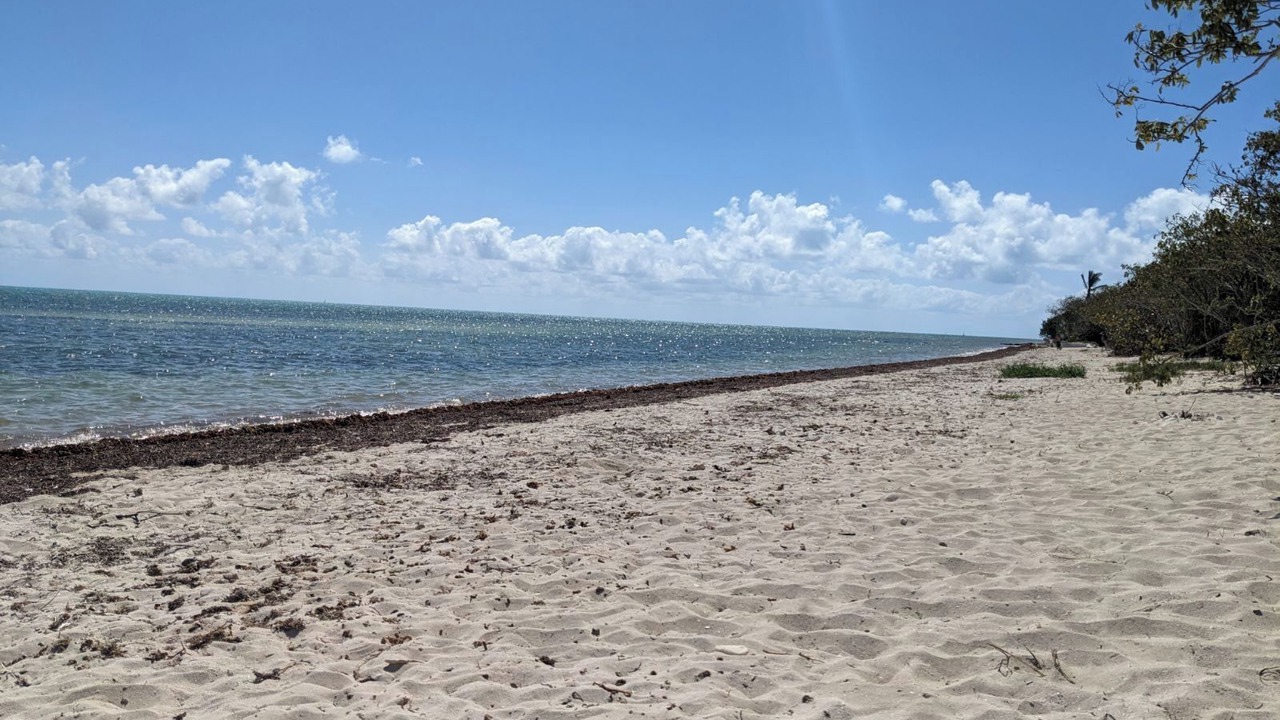 Photo of Others in Geiger Key