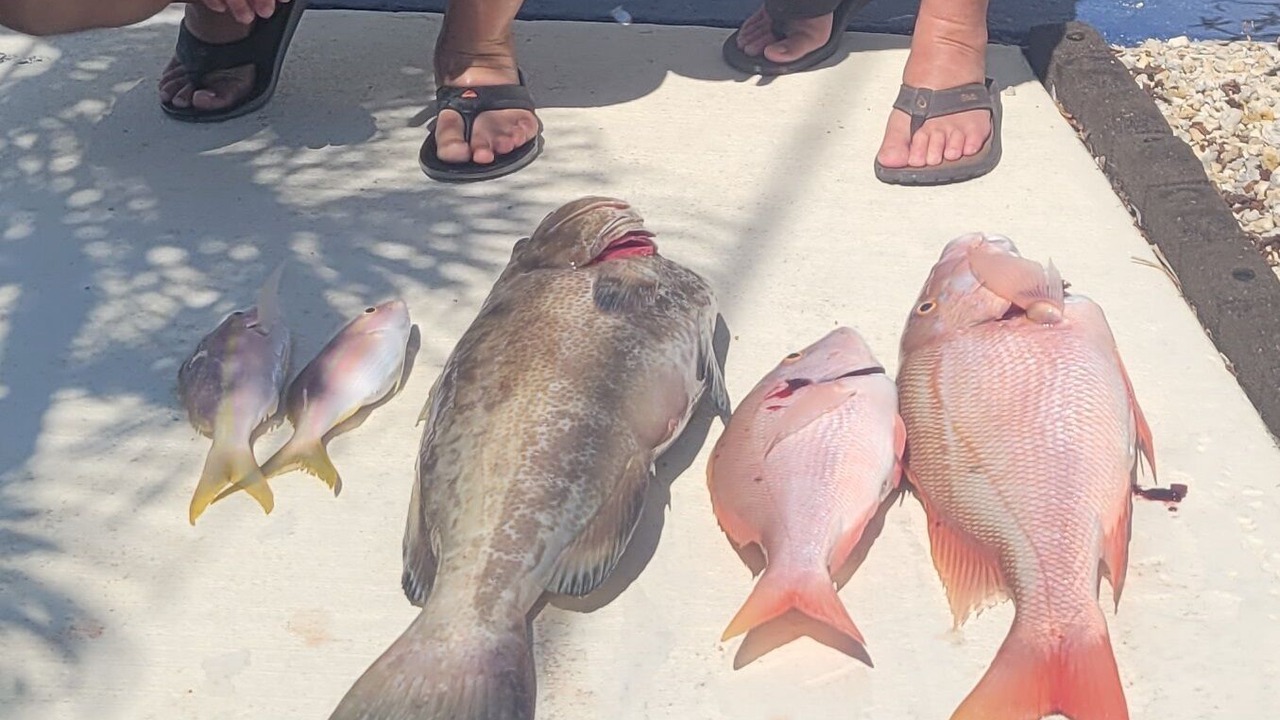 Photo of Others in Geiger Key
