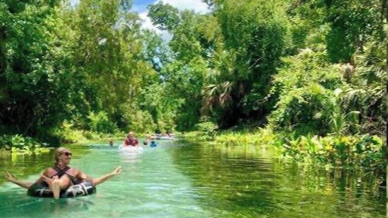 Photo of Others in Lake Mary