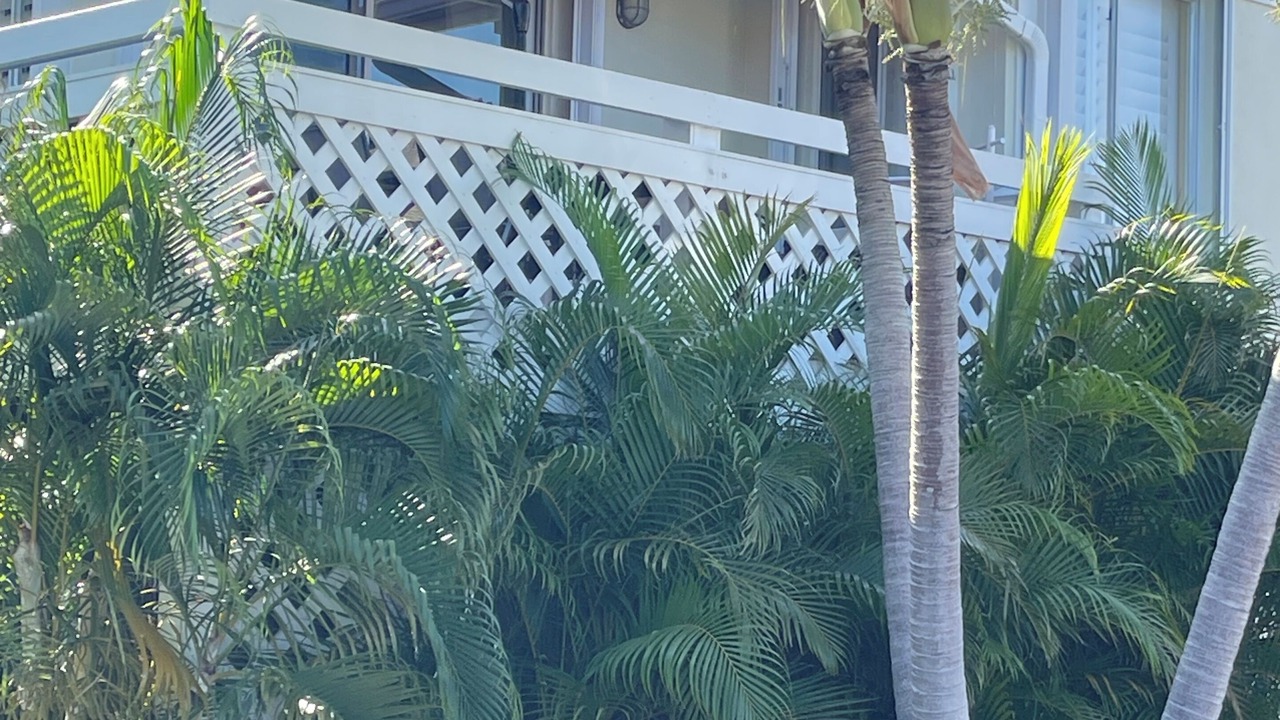 Photo of Outdoor in Jupiter Bay
