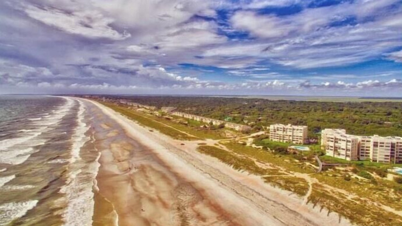 Photo of Others in Amelia City