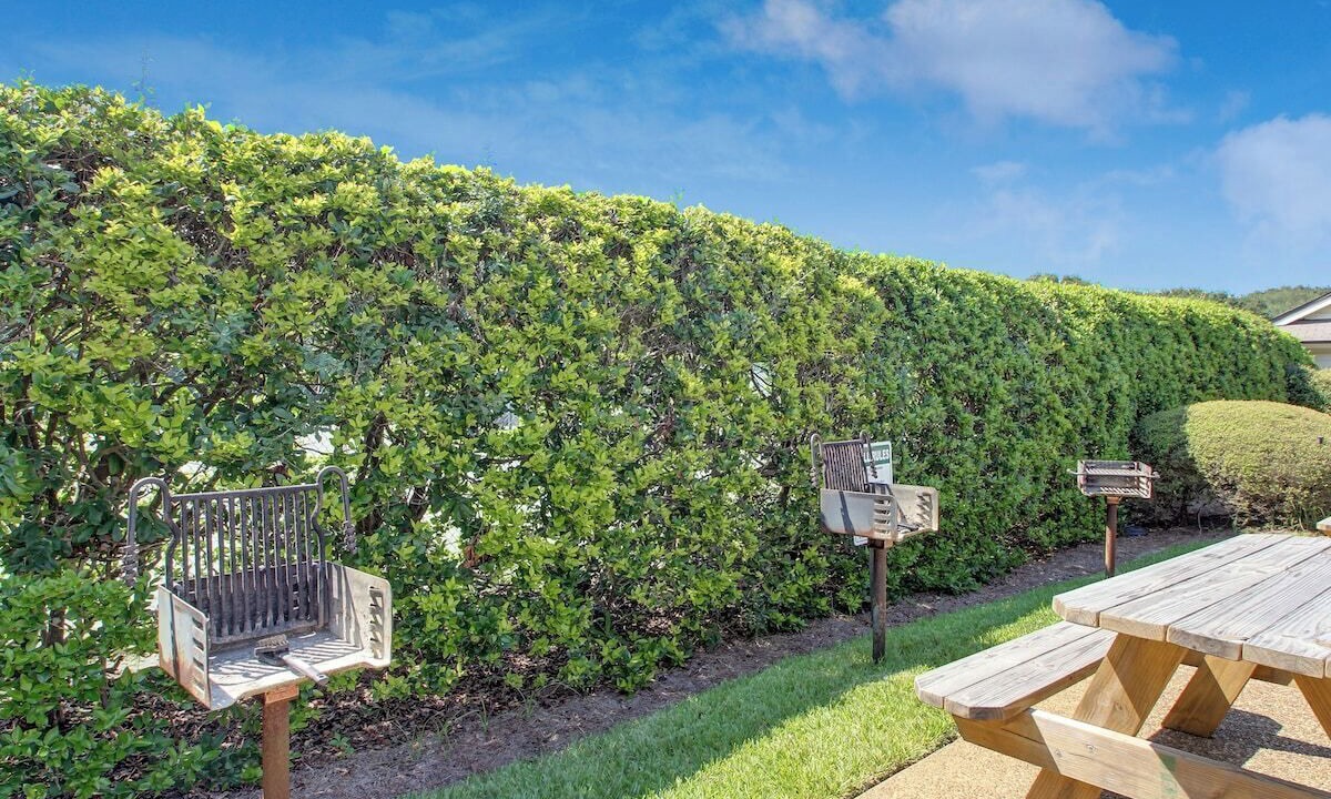 Photo of Outdoor in Amelia City