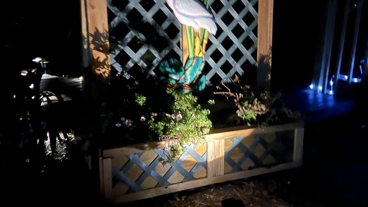 Photo of Outdoor in Pine Island Center