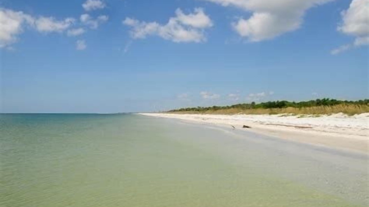 Photo of Others in Pine Island Center