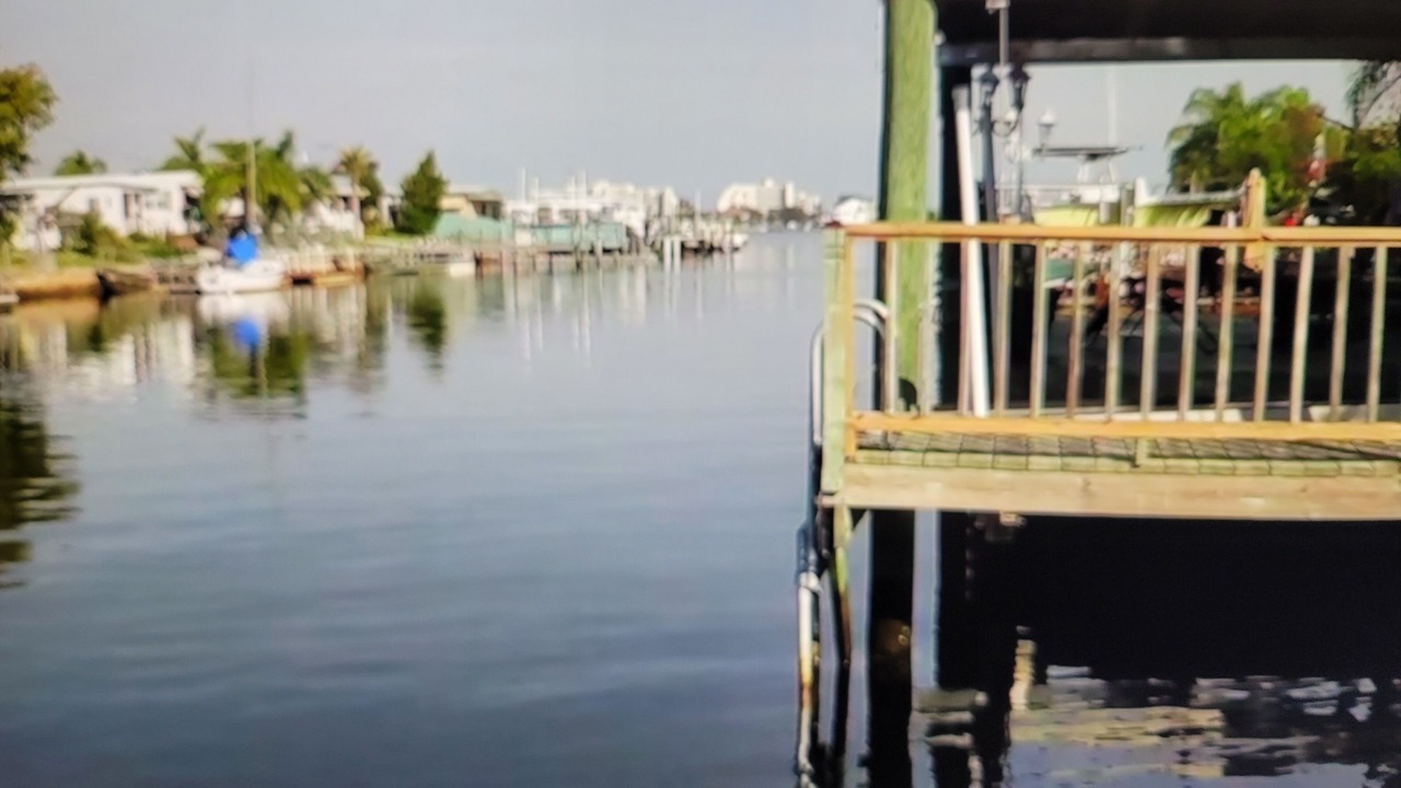 Photo of Others in Signal Cove