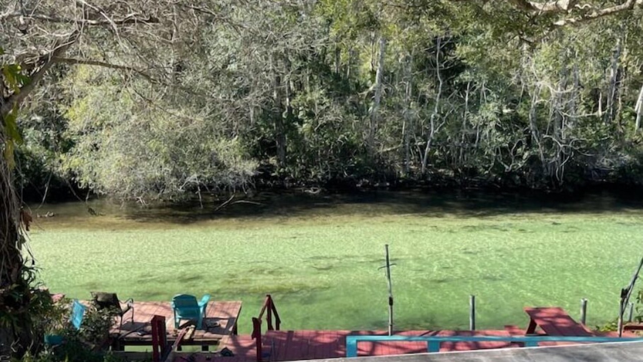 Photo of Outdoor in Weeki Wachee Gardens