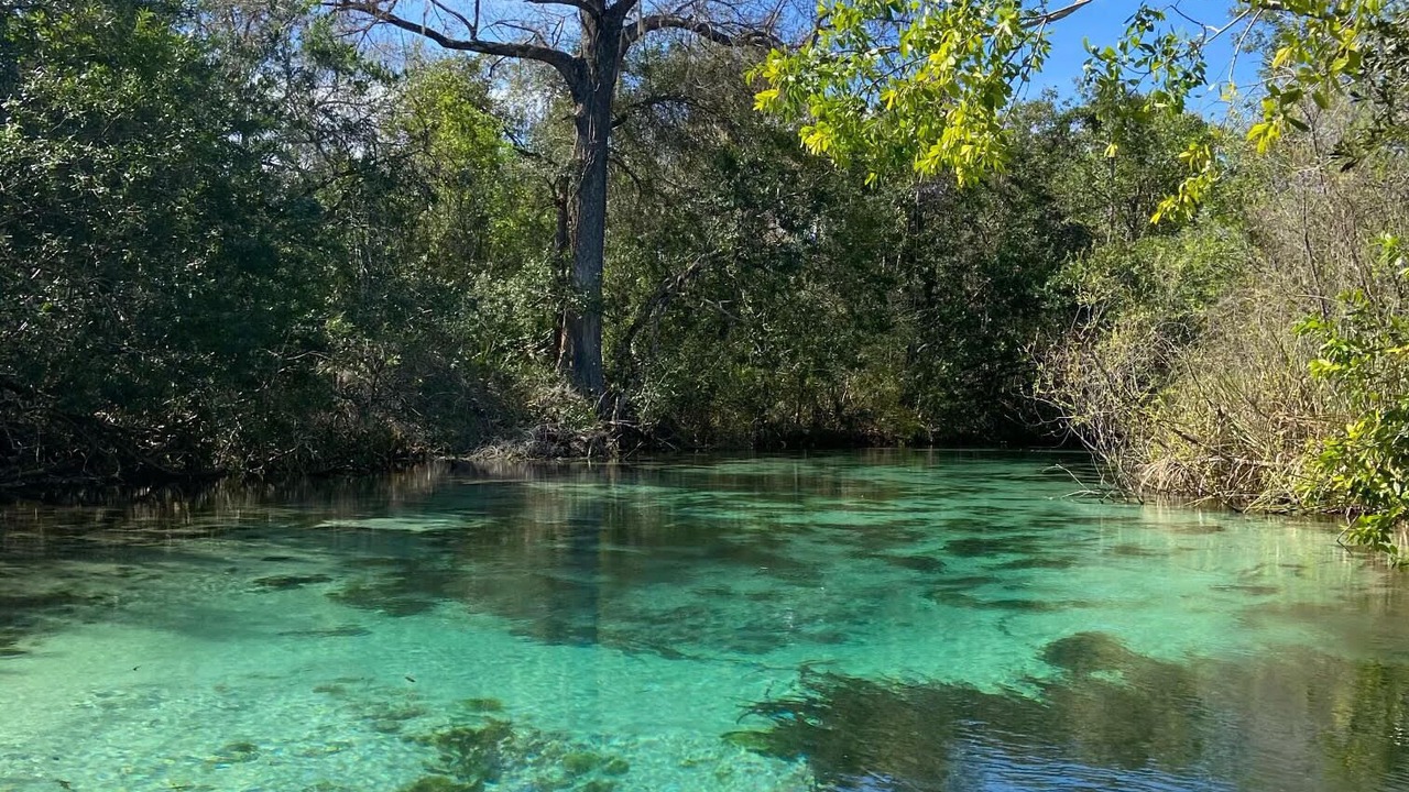 Photo of Outdoor in Weeki Wachee Gardens