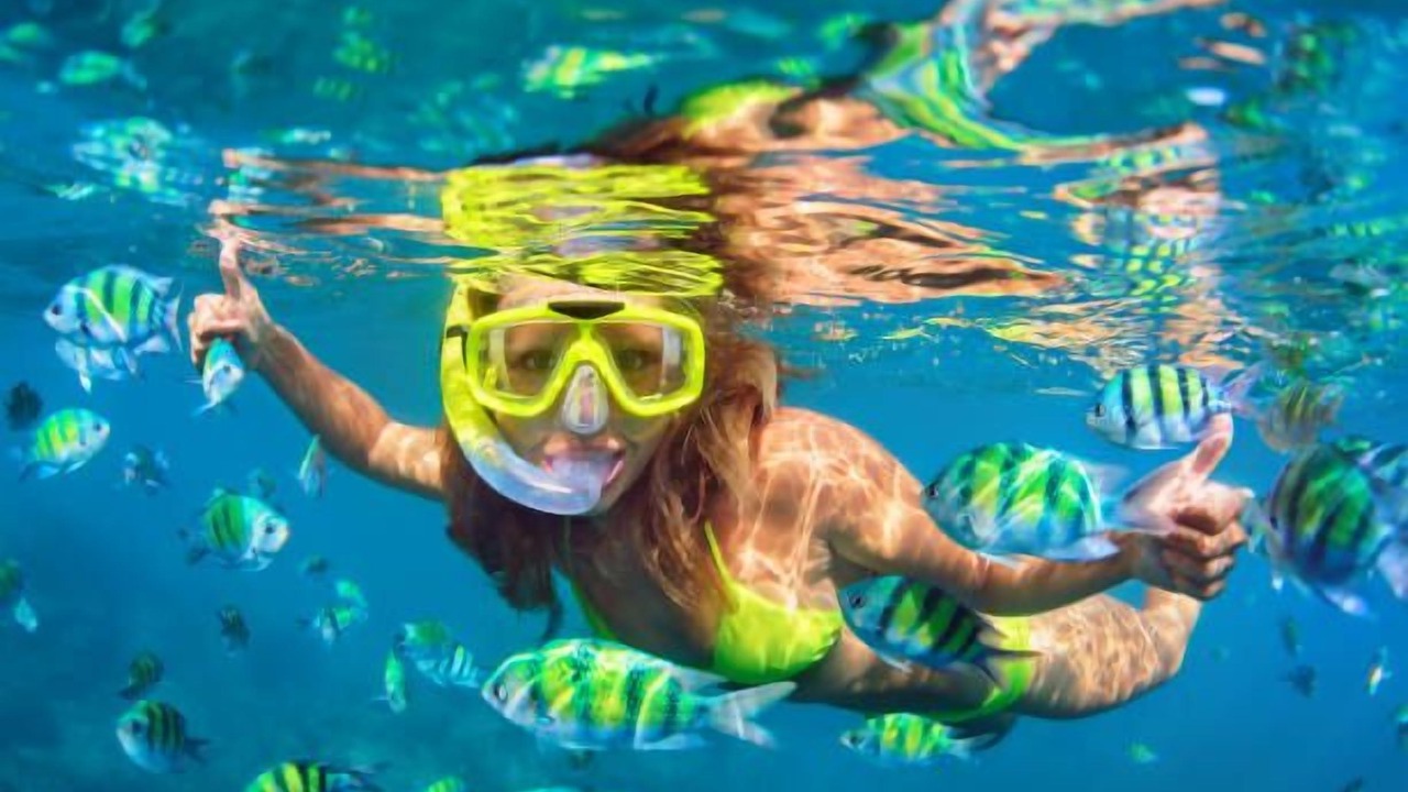 Photo of Others in Weeki Wachee Gardens