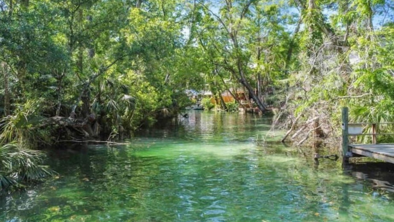 Photo of Outdoor in Weeki Wachee Gardens