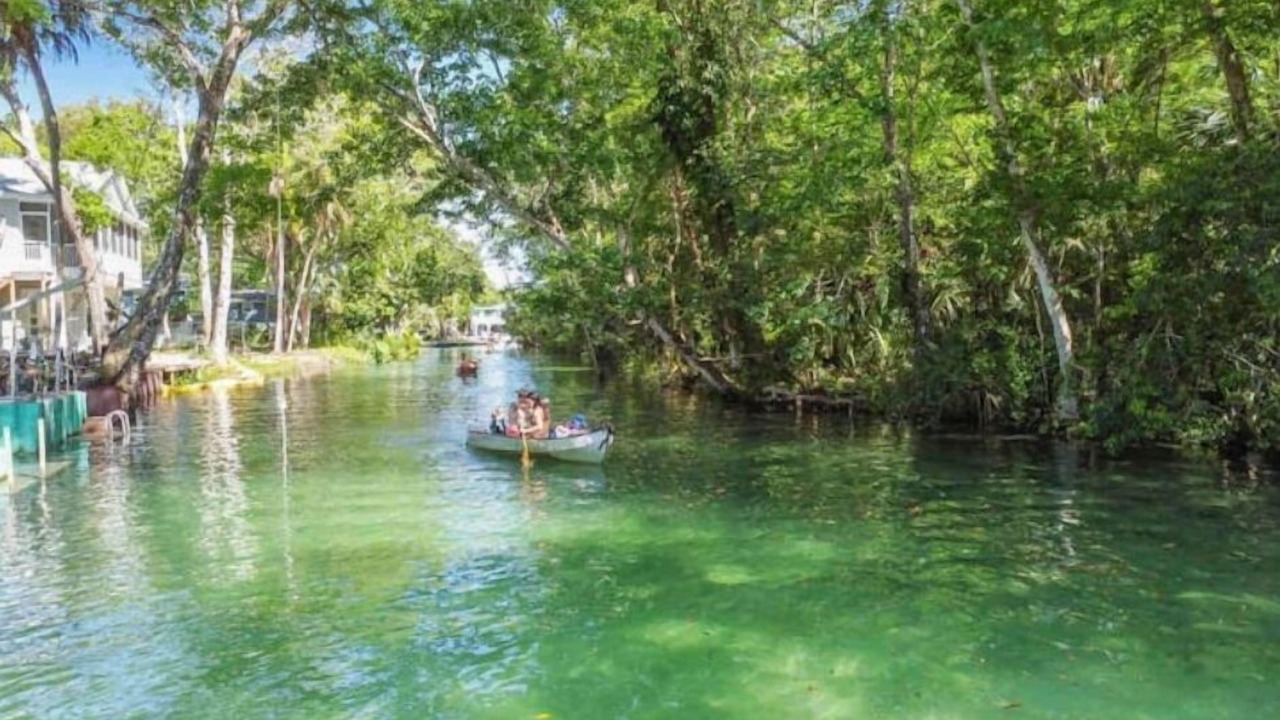 Photo of Others in Weeki Wachee Gardens