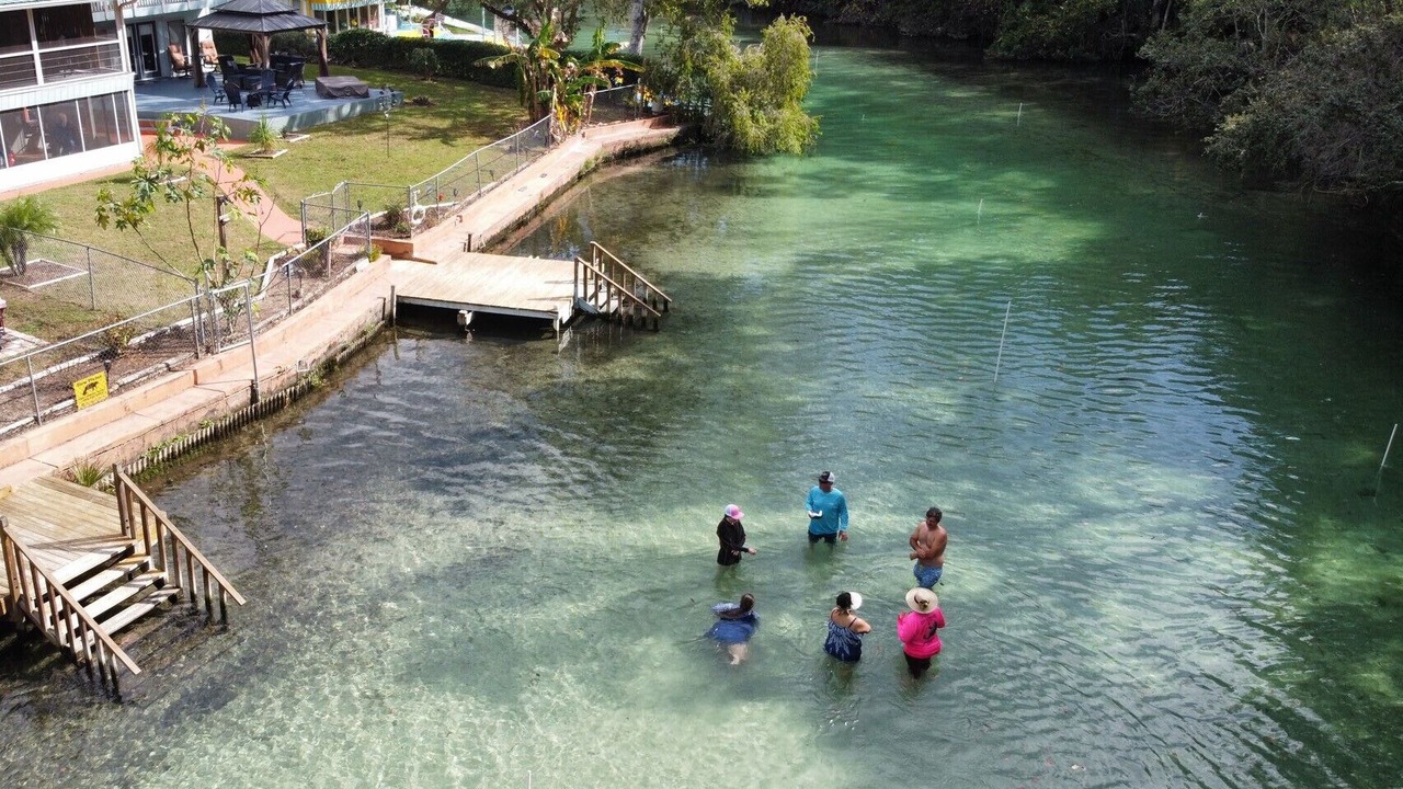 Photo of Others in Weeki Wachee Gardens