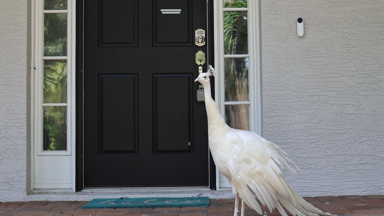 Photo of Outdoor in Indian Beach Sapphire Shores