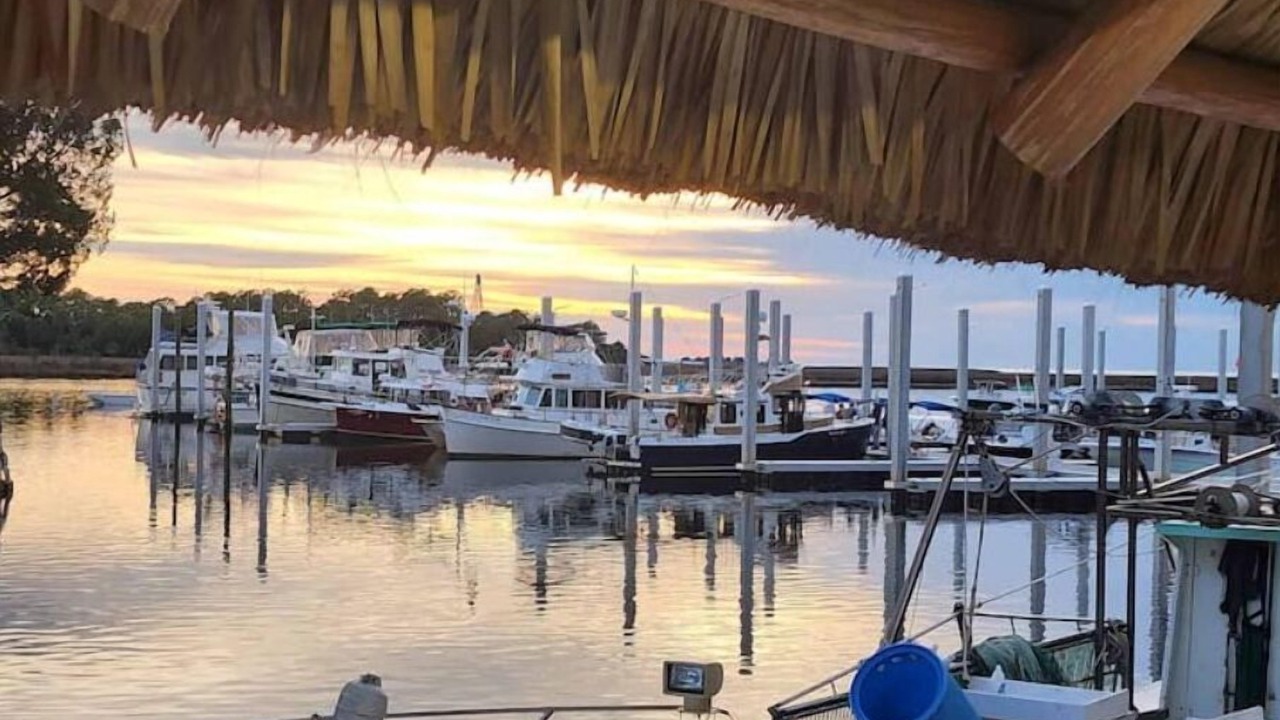 Photo of Others in Steinhatchee