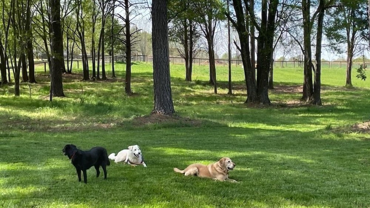 Photo of Others in Boiling Springs