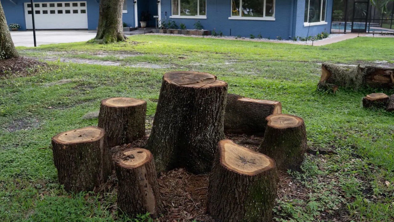 Photo of Outdoor in Auburndale