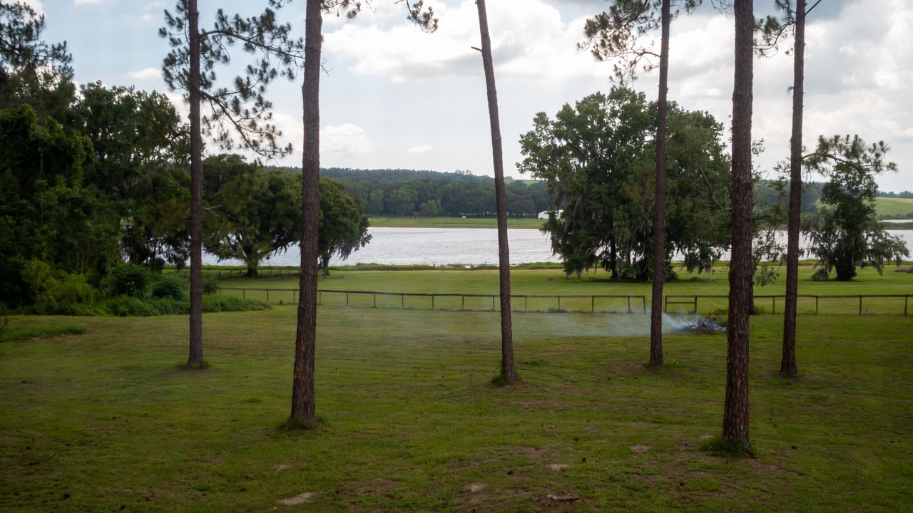 Photo of Others in Dade City