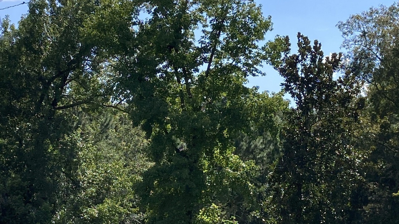 Photo of Others in Crawfordville