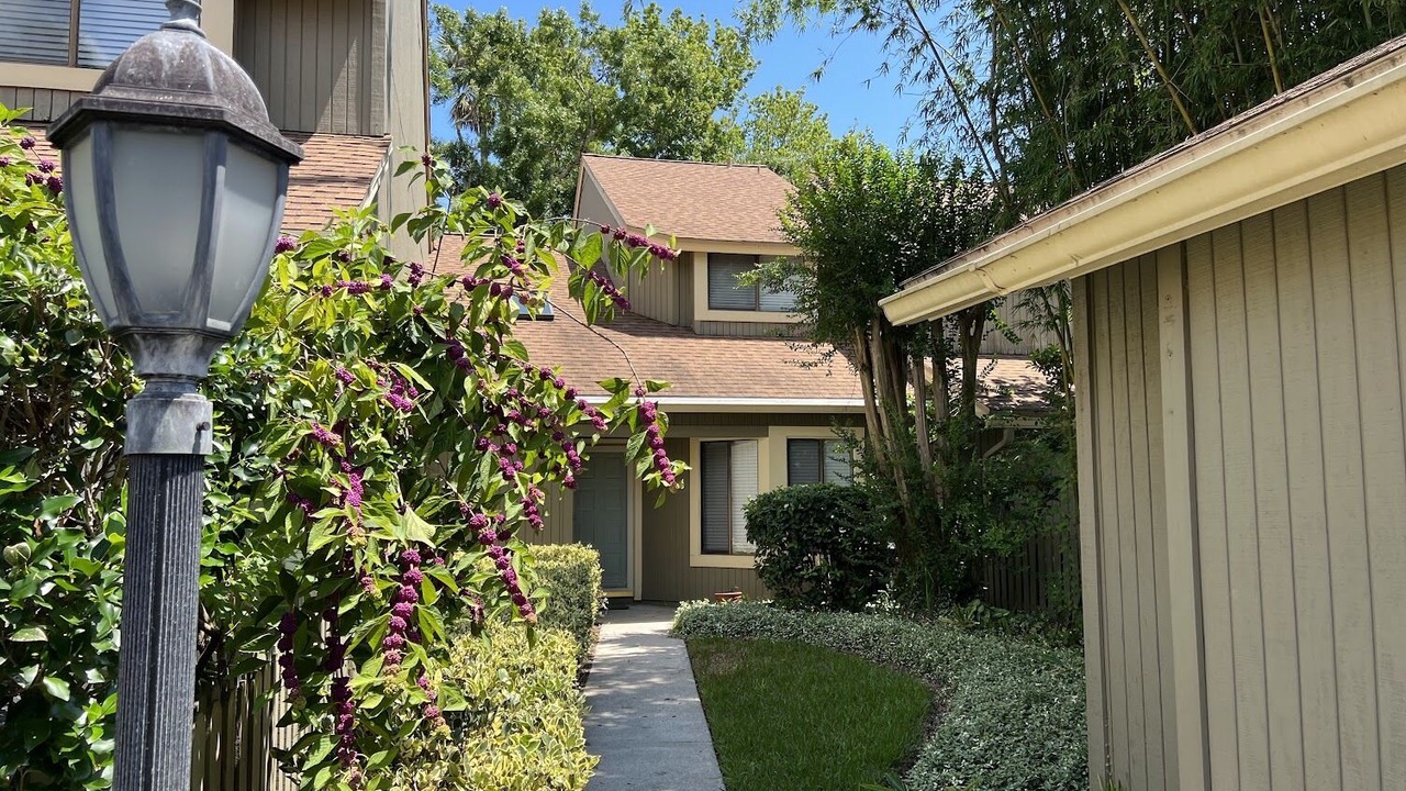 Photo of Outdoor in Palm Valley