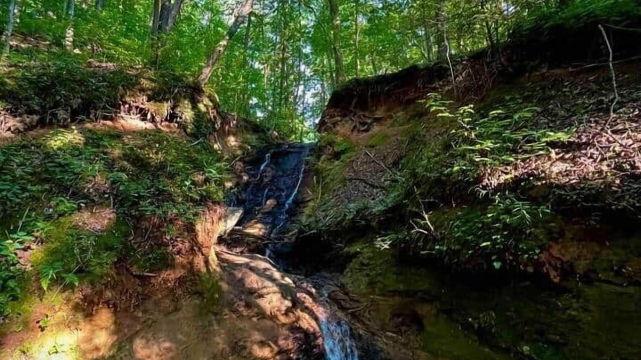Photo of Outdoor in Walnut Mountain
