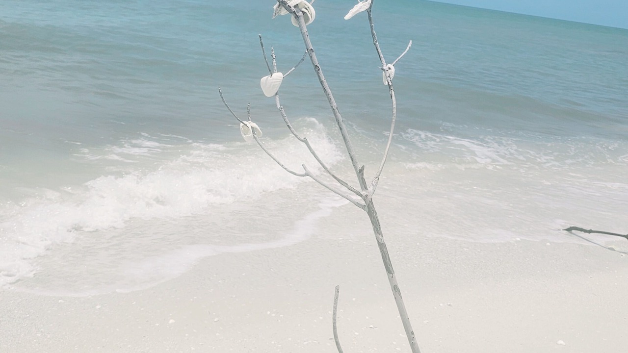 Photo of Others in Marco Island