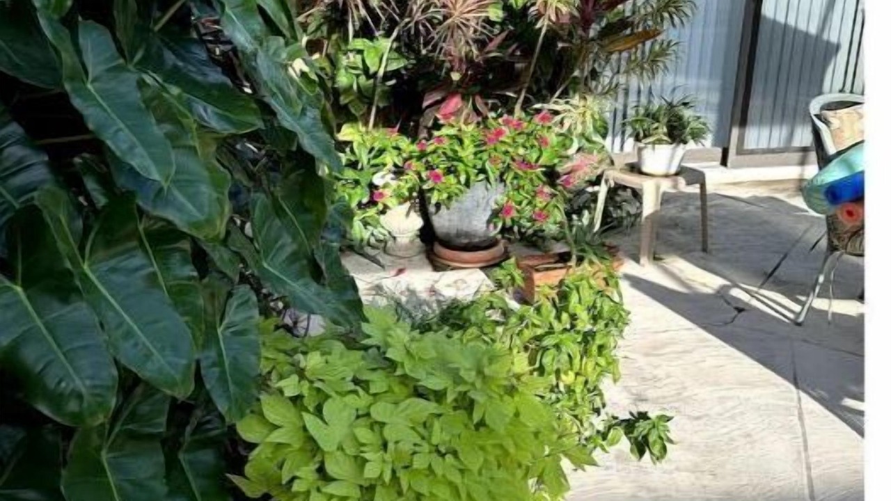 Photo of Outdoor in Naples