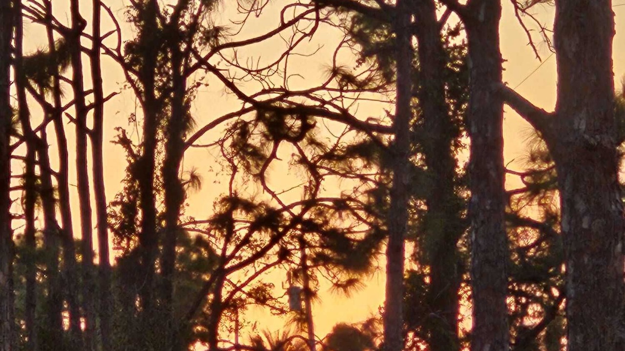 Photo of Others in Saint James City