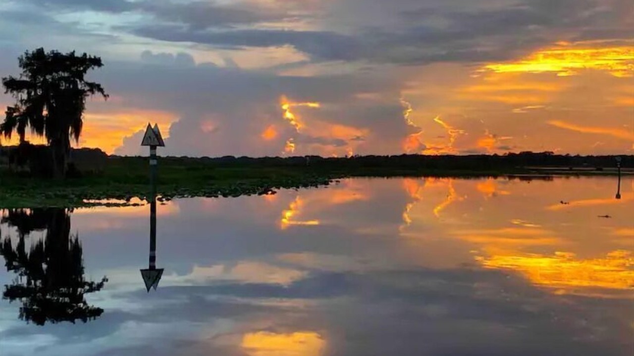 Photo of Outdoor in Citrus Springs