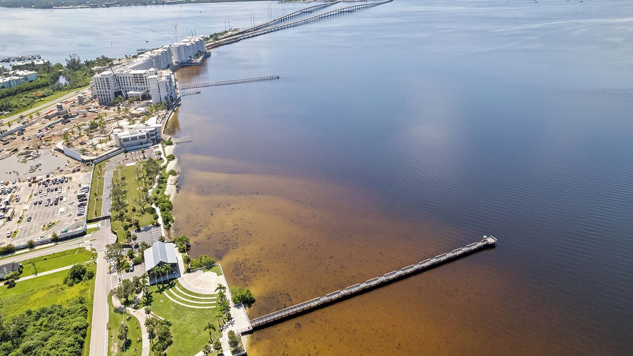 Photo of Outdoor in Charlotte Harbor