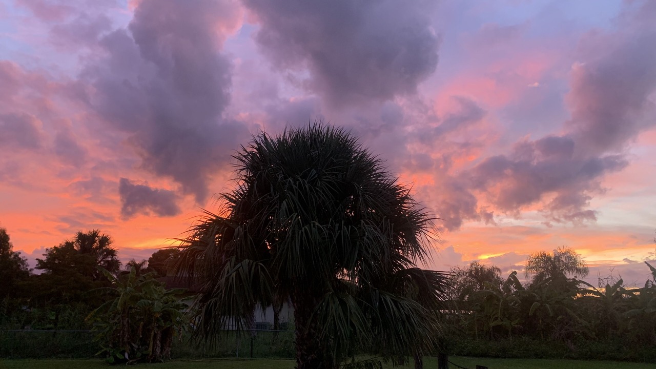 Photo of Outdoor in Fort Myers Shores