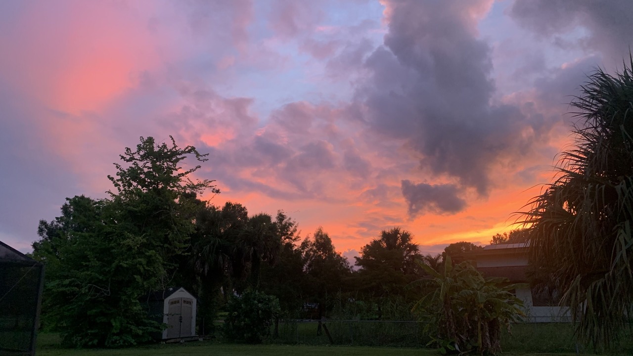 Photo of Outdoor in Fort Myers Shores