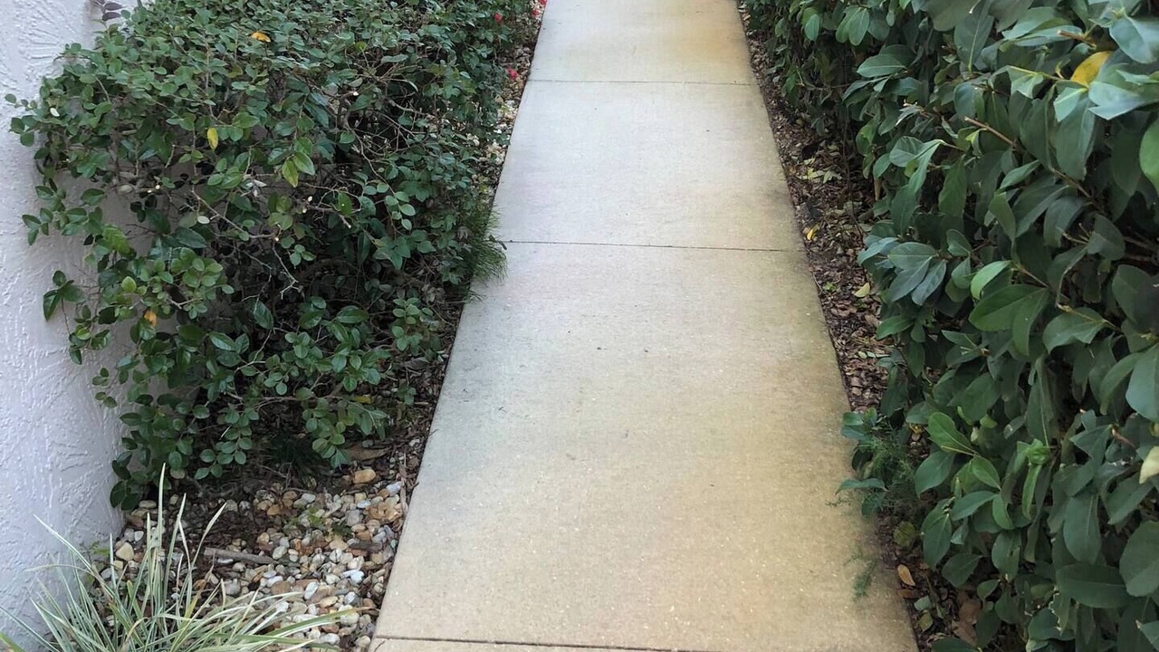 Photo of Outdoor in Palm Harbor