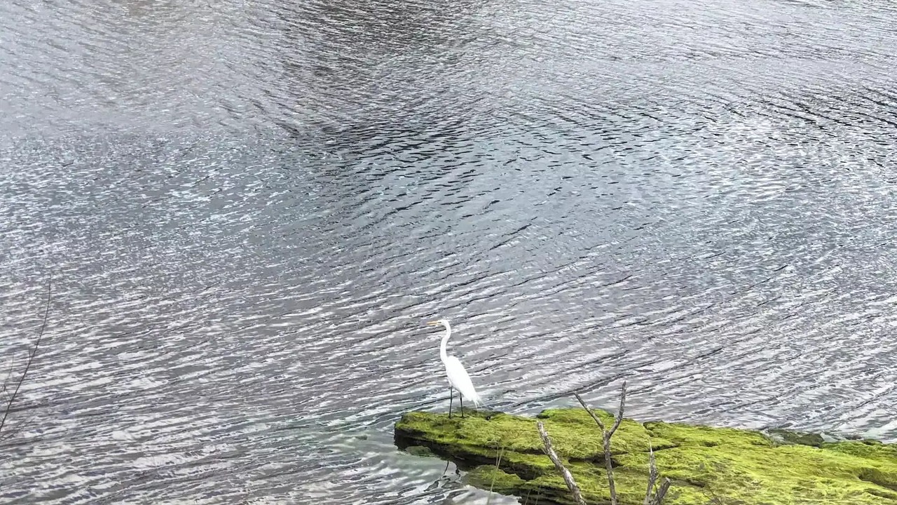 Photo of Others in Palm Harbor