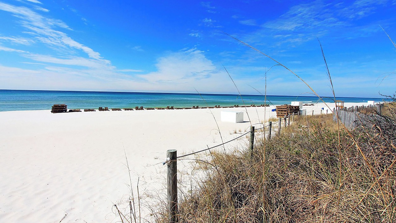 Photo of Others in Panama City Beach