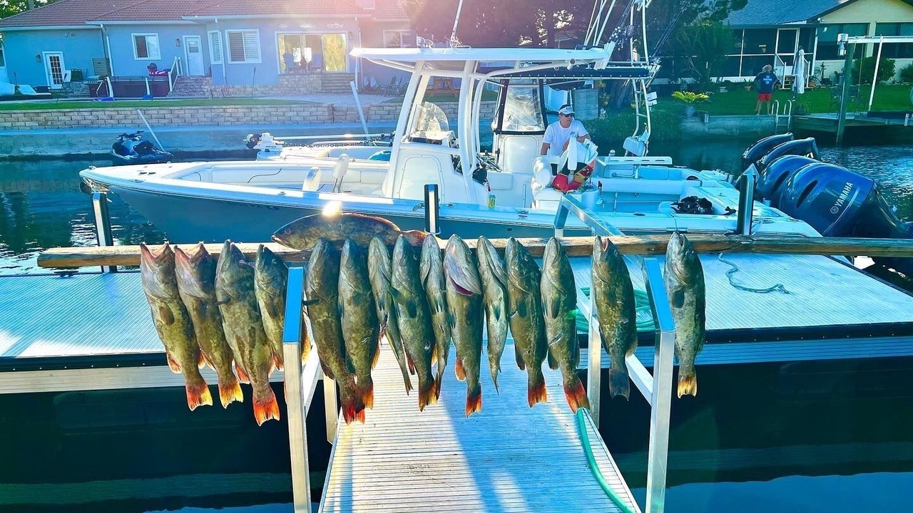Photo of Others in Springs at Kings Bay
