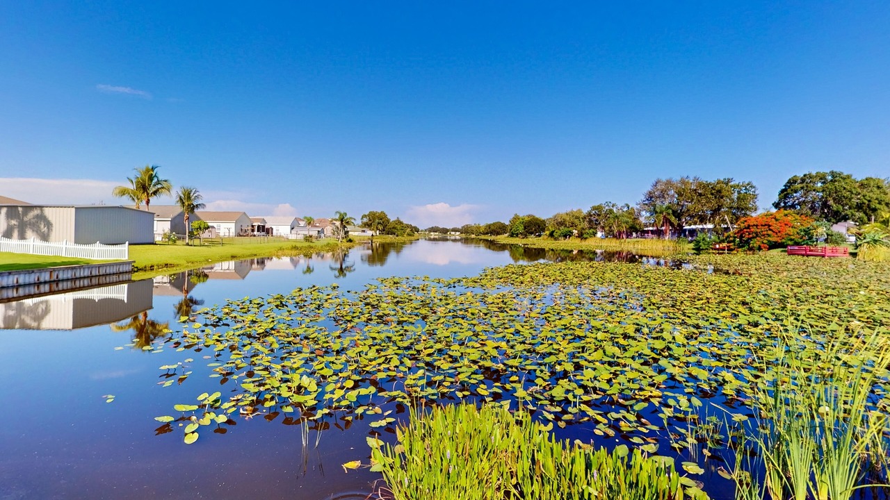 Photo of Outdoor in Taylor Creek
