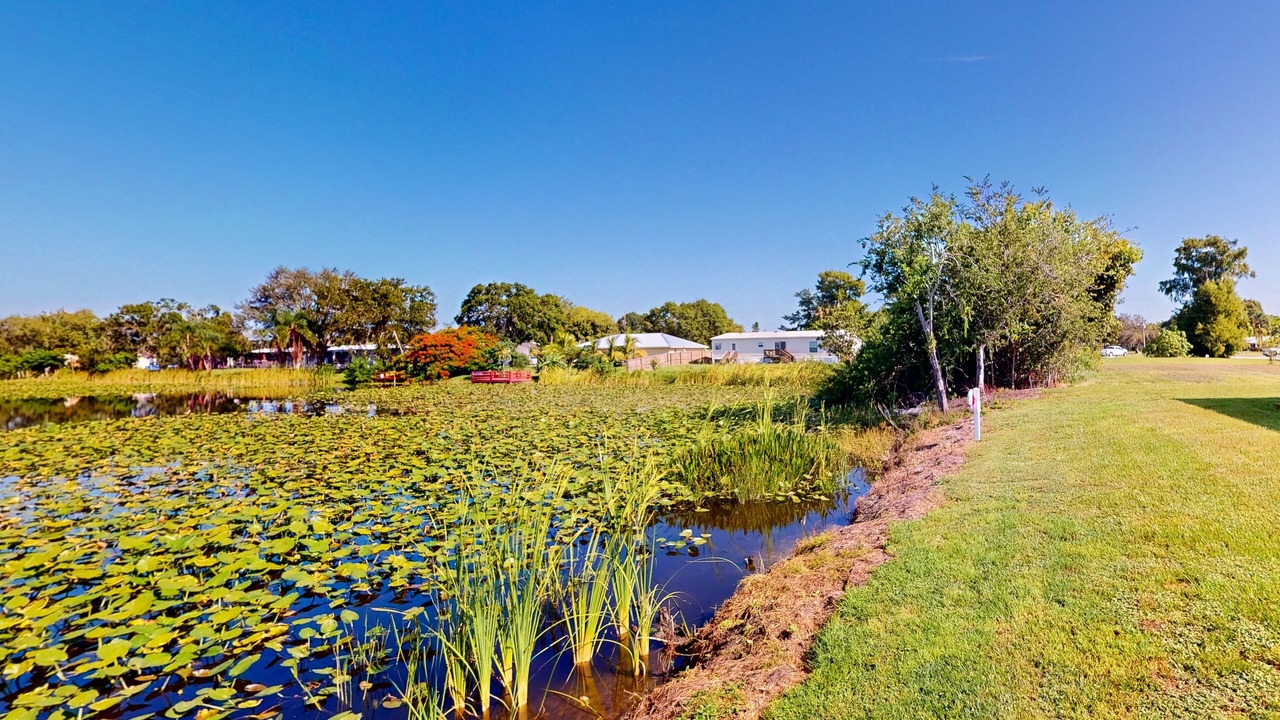 Photo of Outdoor in Taylor Creek