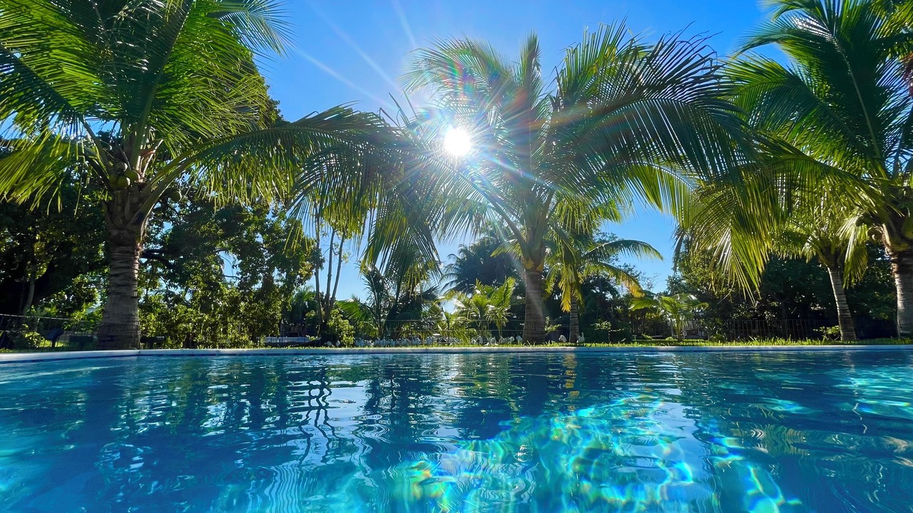 Photo of Outdoor in Palmetto Bay