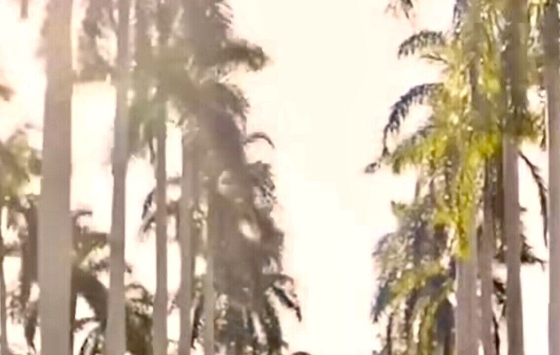 Photo of Others in Parker Ridge