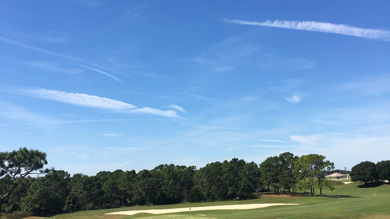 Photo of Others in Summerfield