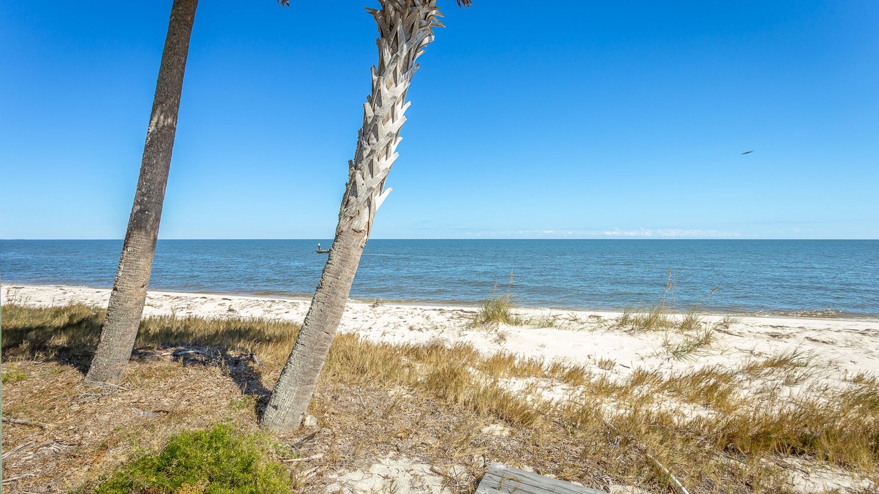 Photo of Others in Alligator Point